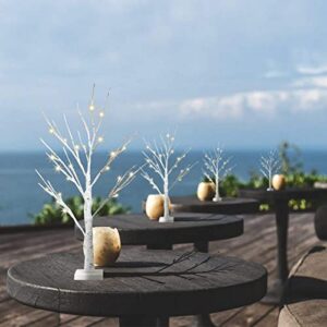 EAMBRITE Home Decorations Light Up Tree Indoor,Set of 4, Battery Operated Tabletop Birch/Bonsai Tree Led Lights Money Tree Wedding Party (2FT / Warm White)