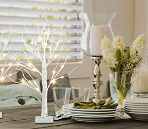 EAMBRITE Home Decorations Light Up Tree Indoor,Set of 4, Battery Operated Tabletop Birch/Bonsai Tree Led Lights Money Tree Wedding Party (2FT / Warm White)