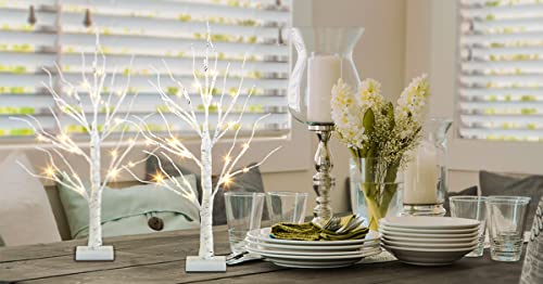 EAMBRITE Home Decorations Light Up Tree Indoor,Set of 4, Battery Operated Tabletop Birch/Bonsai Tree Led Lights Money Tree Wedding Party (2FT / Warm White)