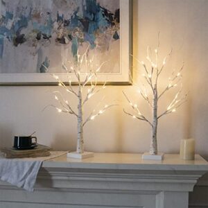 EAMBRITE Home Decorations Light Up Tree Indoor,Set of 4, Battery Operated Tabletop Birch/Bonsai Tree Led Lights Money Tree Wedding Party (2FT / Warm White)