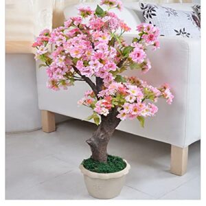 50+ rare cherry blossoms seeds for planting - dwarf pink sakura weeping cherry apple blossom bonsai tree seeds for garden/indoor/outdoor