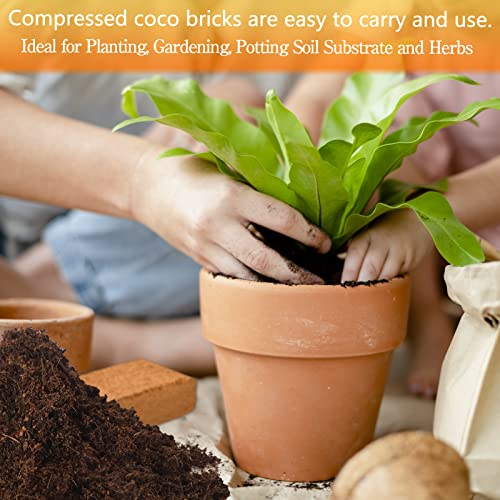 Legigo 4 Pack Premium Coco Coir Brick for Plants- 100% Organic Compressed Coconut Coir Bricks Starting Mix, Coco Coir Fiber Coconut Husk for Planting, Gardening, Potting Soil Substrate, Herbs