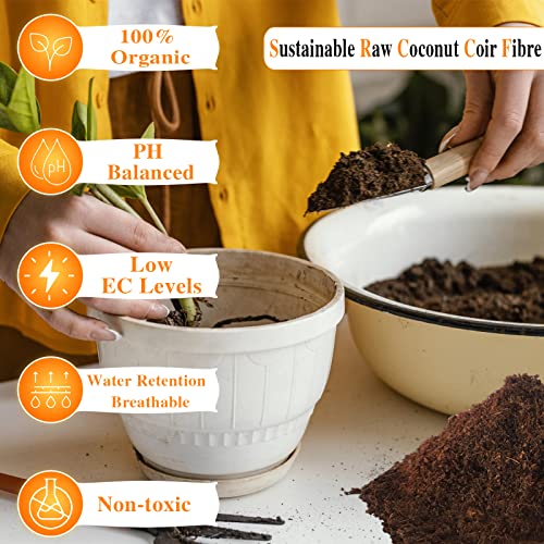 Legigo 4 Pack Premium Coco Coir Brick for Plants- 100% Organic Compressed Coconut Coir Bricks Starting Mix, Coco Coir Fiber Coconut Husk for Planting, Gardening, Potting Soil Substrate, Herbs