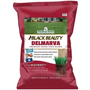 jonathan green (10392) black beauty delmarva grass seed (made for maryland, delaware, virginia) - cool season lawn seed (25 lb)