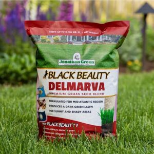 Jonathan Green (10392) Black Beauty Delmarva Grass Seed (Made for Maryland, Delaware, Virginia) - Cool Season Lawn Seed (25 lb)