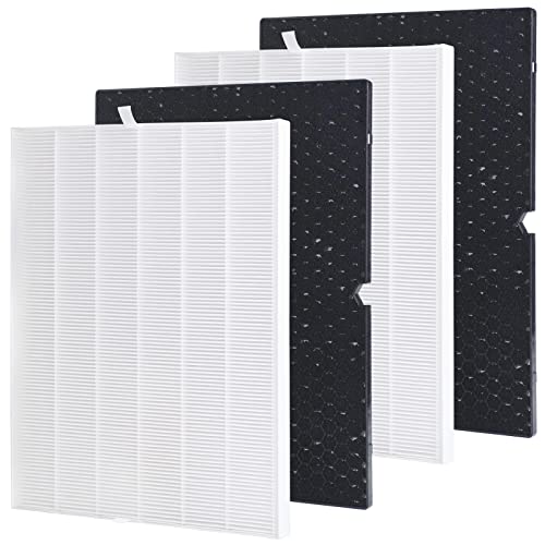 Aulavik True HEPA Replacement 116130 Filter H for Winix Air Purifiers Model # 5500-2 & AM80 (2 sets)