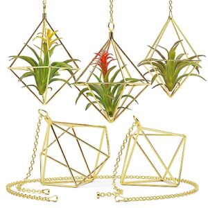 air plant holders w/hooks & chains - indoor air plants and holders sets, freestanding & wall hanging planters - 5 geometric shapes air plant holder - hanging air plant holder