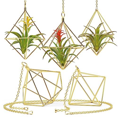 Air Plant Holders w/Hooks & Chains - Indoor Air Plants and Holders Sets, Freestanding & Wall Hanging Planters - 5 Geometric Shapes Air Plant Holder - Hanging Air Plant Holder