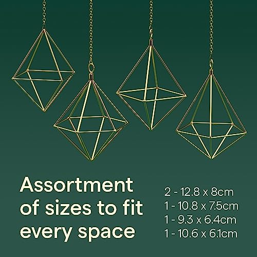 Air Plant Holders w/Hooks & Chains - Indoor Air Plants and Holders Sets, Freestanding & Wall Hanging Planters - 5 Geometric Shapes Air Plant Holder - Hanging Air Plant Holder