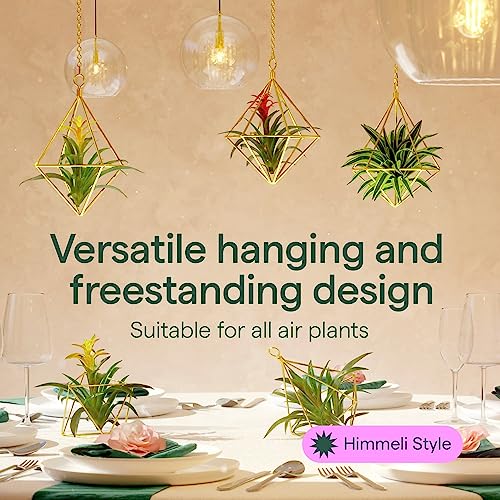 Air Plant Holders w/Hooks & Chains - Indoor Air Plants and Holders Sets, Freestanding & Wall Hanging Planters - 5 Geometric Shapes Air Plant Holder - Hanging Air Plant Holder