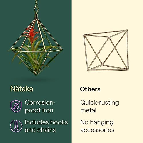 Air Plant Holders w/Hooks & Chains - Indoor Air Plants and Holders Sets, Freestanding & Wall Hanging Planters - 5 Geometric Shapes Air Plant Holder - Hanging Air Plant Holder