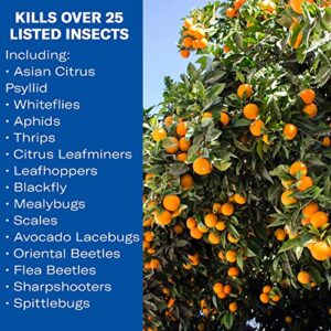 BioAdvanced Fruit & Citrus Tree, Concentrate, for Insects 32 oz