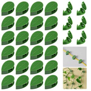 qrwt 30 pieces plant climbing wall fixture clips self-adhesive plant fixer invisible leaf shaped wall vines fixing clips hook plant vine traction for home decoration and cable wire fixing