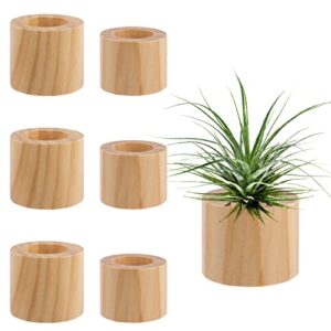 set of 6 wood air plant holder- 2 sizes rustic style air plant pots indoor decorative air plants display containers table centerpiece for home office tabletop decor supplies(internal dia 1.2" & 1.4")