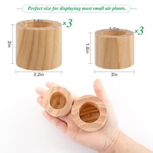 Set of 6 Wood Air Plant Holder- 2 Sizes Rustic Style Air Plant Pots Indoor Decorative Air Plants Display Containers Table Centerpiece for Home Office Tabletop Decor Supplies(Internal Dia 1.2" & 1.4")