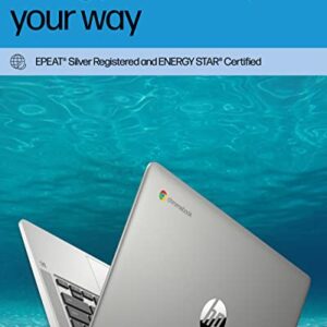 HP Chromebook 14 Laptop, Intel Celeron N4120, 4 GB RAM, 64 GB eMMC, 14" HD Display, Chrome OS, Thin & Portable, 4K Graphics, Long Battery Life, Ash Gray Keyboard (14a-na0210nr, 2022, Mineral Silver)