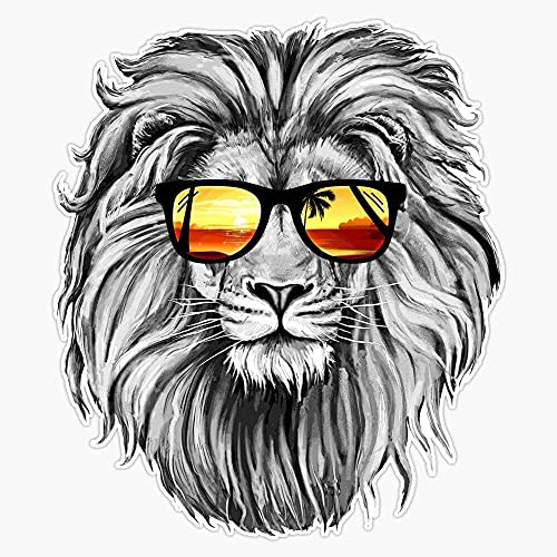 STICKY DUDE - Summer Lion | Sticker Motorcycle Funny Helmet Bikers Gifts Laptop Wall Window Bumper Decal 5"