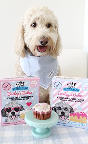 The Bear and The Rat Dog Cake | Cupcake Mix for Dogs, Bone Broth Flavor, 9 Ounce, Peanut Butter Frosting, Wheat Free, Gluten Free, Real Food Ingredients, Made in the USA, Birthday Dog