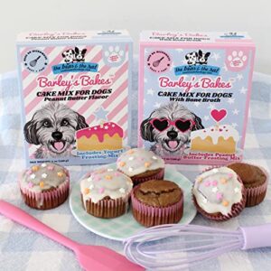 The Bear and The Rat Dog Cake | Cupcake Mix for Dogs, Bone Broth Flavor, 9 Ounce, Peanut Butter Frosting, Wheat Free, Gluten Free, Real Food Ingredients, Made in the USA, Birthday Dog