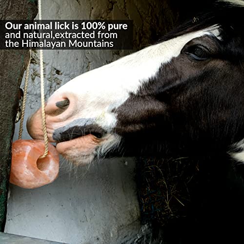 Himalayan Nature Horse Rock Salt, Animal Lick Salt - 8lbs, Elk