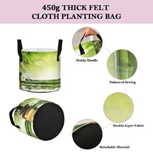 xigua 5 Gallon Plant Grow Bags with Strap Handles,Heavy Duty Thickened Nonwoven Aeration Fabric Pots Durable Container for Garden, Bamboo Stalks Candle and Basalt Stones