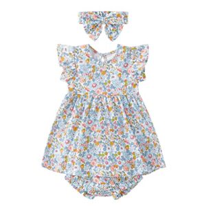 pureborn baby girls ruffled sleeve dress cotton swing dress casual with headband bloomer 3-6 months floral blue