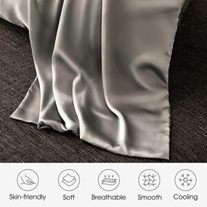 WLOSJ 100% Silk Pillowcase for Hair and Skin 2 Pack Standard Size 19 Momme Mulberry Silk Pillow Case 600 Thread Count Soft Breathable Cooling with Hidden Zipper Set of 2, Grey