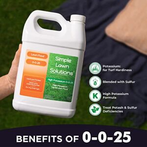 Simple Lawn Solutions - High Potassium Lawn Food Liquid Fertilizer 0-0-25 - Concentrated Spray - Turf Grass Vigor and Plant Hardiness - Summer and Fall - Any Grass Type (1 Gallon)