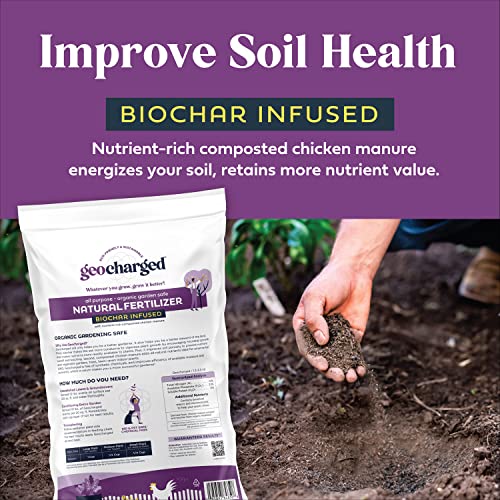 Geocharged Organic Fertilizer Biochar Plus Chicken Manure Indoor and Outdoor Plant Food, Kid and Pet Safe, No Odor for Soil, Flowers, Potted Plants, Raised Beds, Vegetable Garden, Compost, 4 oz. Bag