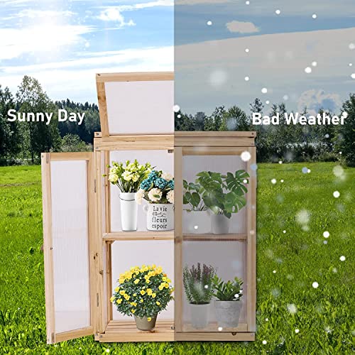Wooden Cold Frame Greenhouse 2-Tier Garden Mini Nursery Vented Planter Wood Portable Flower Cabinet Front Top Opening Home Decor Indoor Backyard Outdoor 22X14X29