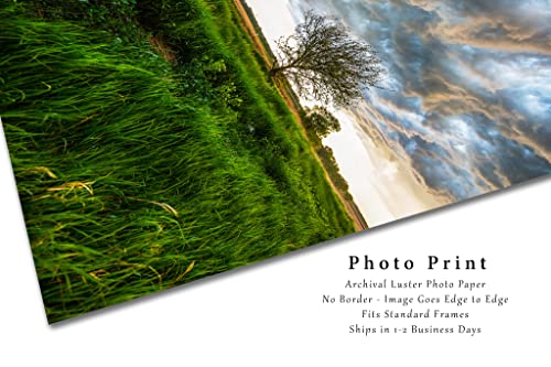 Great Plains Photography Print (Not Framed) Vertical Picture of Tree Under Stormy Sky on Spring Day in Kansas Prairie Wall Art Nature Decor (4" x 6")