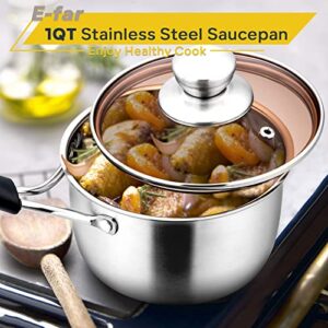 1 Quart Saucepan with Lid, E-far Stainless Steel Small Sauce Pot with Glass Lid for Cooking, Easy Clean & Rust Free, Dishwasher Safe