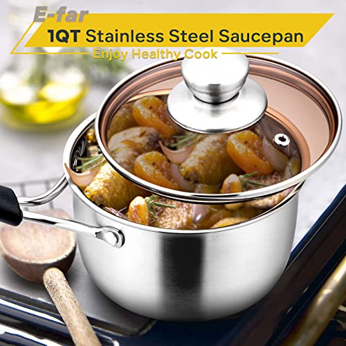 1 Quart Saucepan with Lid, E-far Stainless Steel Small Sauce Pot with Glass Lid for Cooking, Easy Clean & Rust Free, Dishwasher Safe