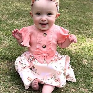 Newborn Baby Girl Dress Floral Ruffle Sleeve Casual Beach Sundress Princess Skirt Clothes Summer Outfits Dresses for Girls (Pink, 0-3 Months)