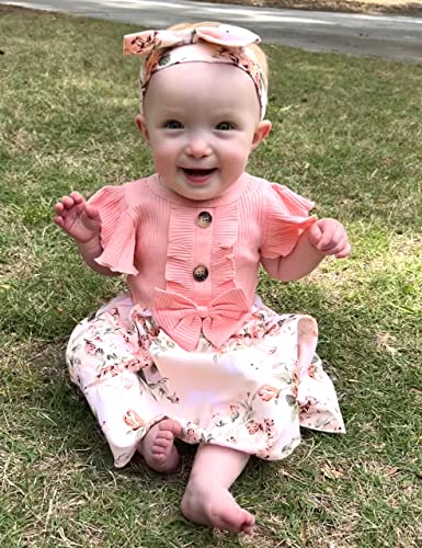 Newborn Baby Girl Dress Floral Ruffle Sleeve Casual Beach Sundress Princess Skirt Clothes Summer Outfits Dresses for Girls (Pink, 0-3 Months)