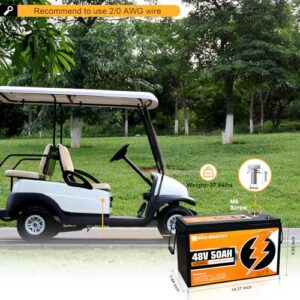 ECO-WORTHY 48V 50Ah 2560Wh Golf Cart LiFePO4 Lithium Battery, Fast Charging Battery with BMS Protection, More Efficient and Lightweight, Perfect for Most of Backup Power and Off Grid Applications