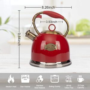 Tea Kettle, Stovetop Whistling Teapot, Stainless Steel, Black, 3.0-Quart