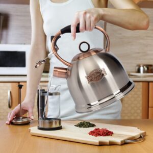 Whistling Stovetop Tea Kettle Food Grade Stainless Steel, Hot Water Fast to Boil for Stove Top-3.0Q