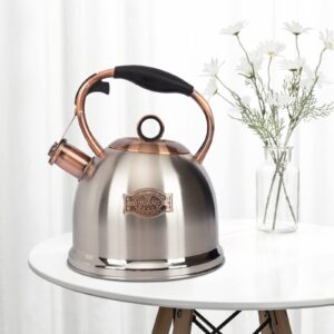 Whistling Stovetop Tea Kettle Food Grade Stainless Steel, Hot Water Fast to Boil for Stove Top-3.0Q