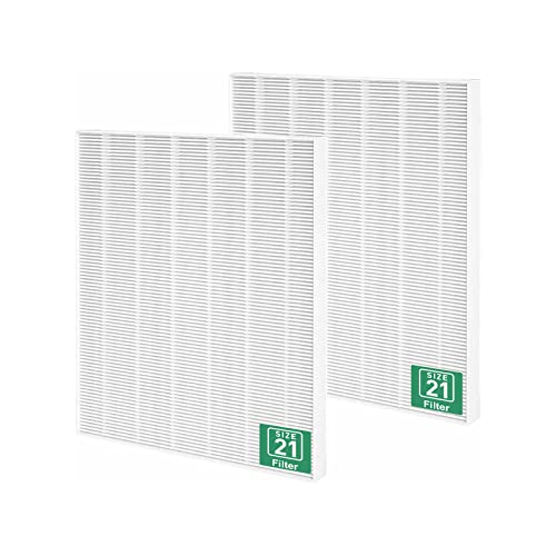 Vagmecip 115115 Size 21 Replacement Filter A Compatible with Winix C535, Winix PlasmaWave 5300, 6300, 5300-2, 6300-2, P300 Plasma wave Air Purifier, True HEPA Filter - 2 Pack