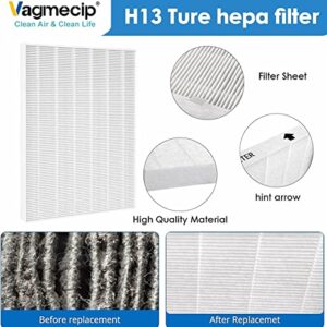 Vagmecip 115115 Size 21 Replacement Filter A Compatible with Winix C535, Winix PlasmaWave 5300, 6300, 5300-2, 6300-2, P300 Plasma wave Air Purifier, True HEPA Filter - 2 Pack