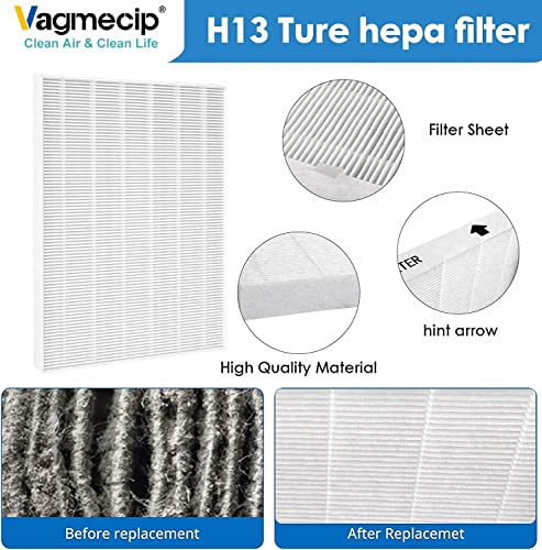 Vagmecip 115115 Size 21 Replacement Filter A Compatible with Winix C535, Winix PlasmaWave 5300, 6300, 5300-2, 6300-2, P300 Plasma wave Air Purifier, True HEPA Filter - 2 Pack