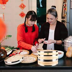 Bamboo Steamer Basket - 10 Inch 2 Tier Vegetable Steamer w/Stainless Steel Ring & 4 Silicone Liners, Dumpling Steamer for Steaming Food