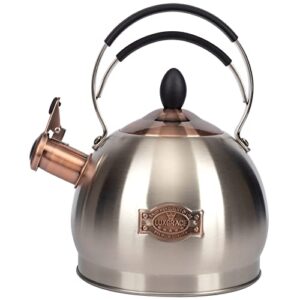 whistling tea kettle stainless steel teapot, teakettle for stovetop induction stove top, fast boiling heat water tea pot 2.6 quart