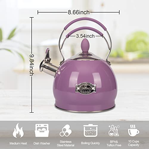 Whistling Tea Kettle Stainless Steel Teapot, Teakettle for Stovetop Induction Stove Top, Fast Boiling Heat Water Tea Pot 2.6 Quart