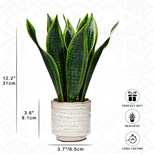 Hollyone Artificial Snake Plant with Ceramic Pot, 12" Tropical Fake Snake Plant Potted Faux Sansevieria Desk Plant in Pot for Home Office Room Indoor Decor Housewarming Gifts