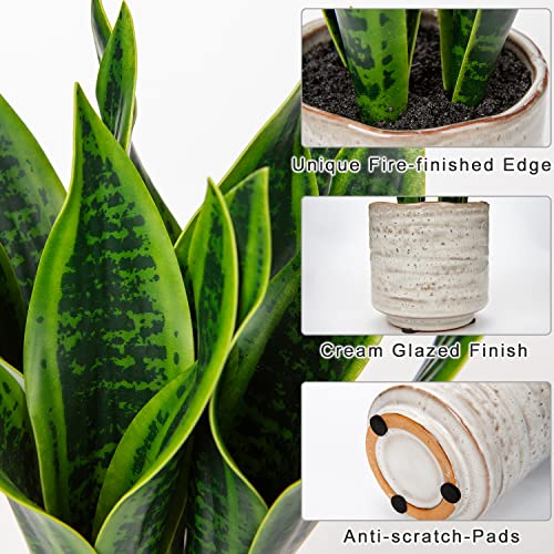 Hollyone Artificial Snake Plant with Ceramic Pot, 12" Tropical Fake Snake Plant Potted Faux Sansevieria Desk Plant in Pot for Home Office Room Indoor Decor Housewarming Gifts