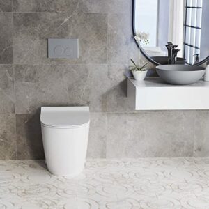 St. Tropez Back to Wall Concealed Tank Toilet Bowl Bundle in Glossy White