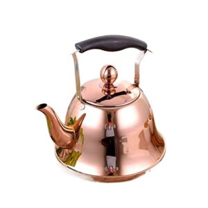 Kettle - Stainless Steel Whistle Kettle Gas Induction Cooker Kettle Household Gas Kettle Creative Teapot (Capacity : 2L, Color : Gold)