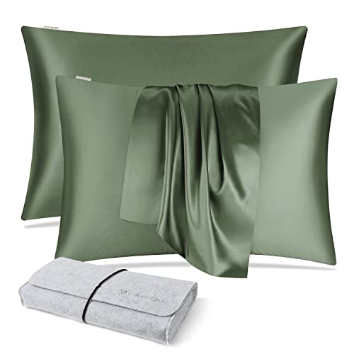 DISANGNI 100% Natural Mulberry Silk Pillow case for Hair and Skin with Hidden Zipper 22 Momme Both Sides Real Silk Pillow Case 1pc (Green, 2 Pack Standard Size 20"x26")